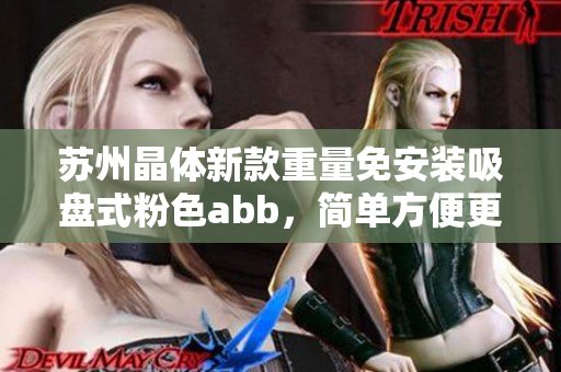 蘇州晶體新款重量免安裝吸盤式粉色abb，簡單方便更美觀