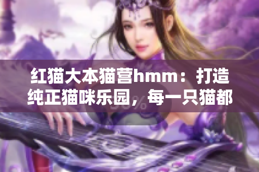 紅貓大本貓營hmm：打造純正貓咪樂園，每一只貓都有其故事