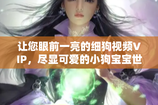 讓您眼前一亮的細(xì)狗視頻VIP，盡顯可愛的小狗寶寶世界