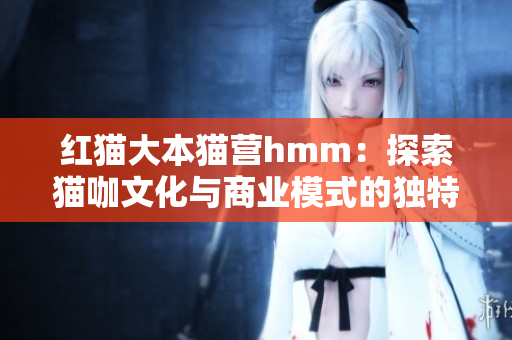 紅貓大本貓營hmm：探索貓咖文化與商業(yè)模式的獨(dú)特魅力