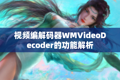 視頻編解碼器WMVideoDecoder的功能解析