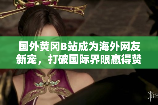 國(guó)外黃岡B站成為海外網(wǎng)友新寵，打破國(guó)際界限贏(yíng)得贊譽(yù)