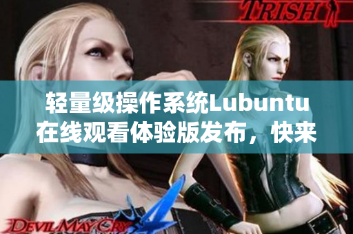 輕量級操作系統(tǒng)Lubuntu在線觀看體驗(yàn)版發(fā)布，快來感受吧