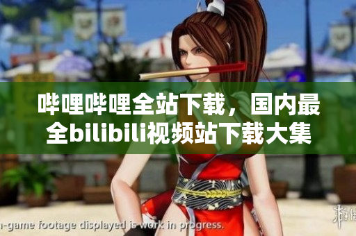 嗶哩嗶哩全站下載，國(guó)內(nèi)最全bilibili視頻站下載大集合