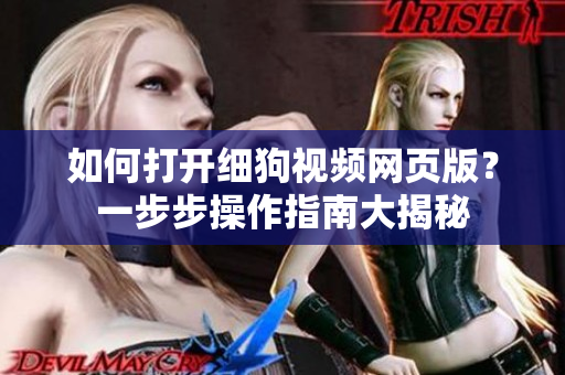 如何打開細(xì)狗視頻網(wǎng)頁版？一步步操作指南大揭秘