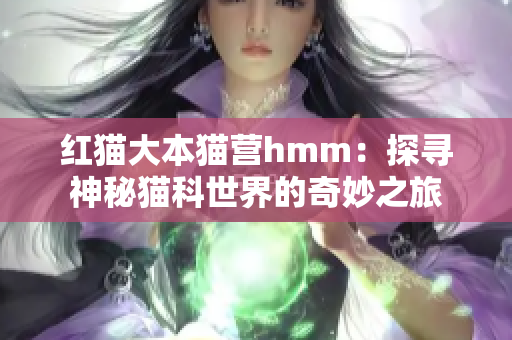 紅貓大本貓營(yíng)hmm：探尋神秘貓科世界的奇妙之旅