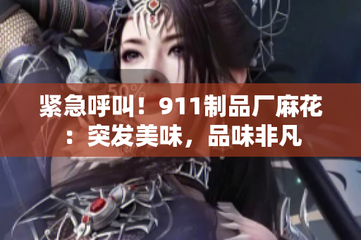 緊急呼叫！911制品廠麻花：突發(fā)美味，品味非凡