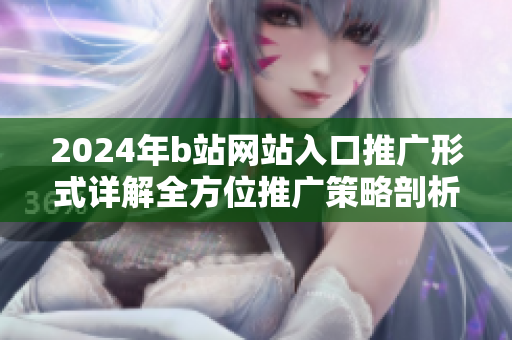 2024年b站網(wǎng)站入口推廣形式詳解全方位推廣策略剖析