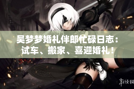 吳夢夢婚禮伴郎忙碌日志：試車、搬家、喜迎婚禮！