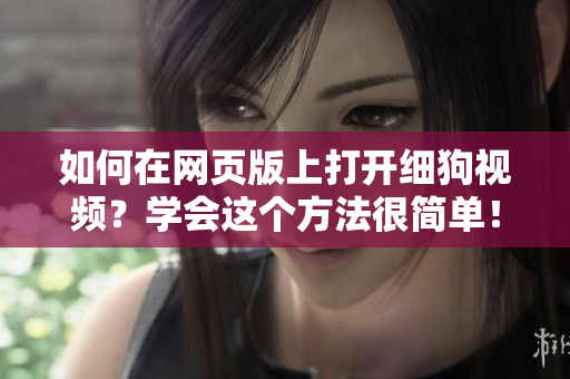 如何在網(wǎng)頁版上打開細(xì)狗視頻？學(xué)會這個方法很簡單！