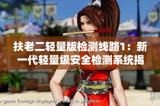 扶老二輕量版檢測(cè)線路1：新一代輕量級(jí)安全檢測(cè)系統(tǒng)揭秘
