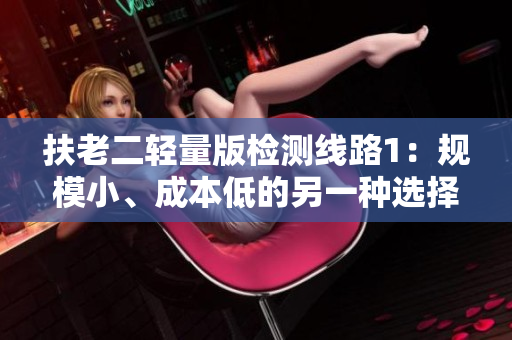 扶老二輕量版檢測線路1：規(guī)模小、成本低的另一種選擇