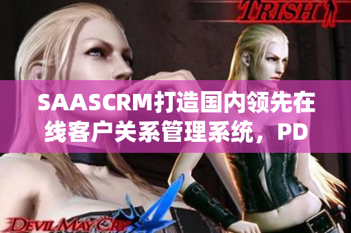 SAASCRM打造國內(nèi)領(lǐng)先在線客戶關(guān)系管理系統(tǒng)，PDF免費下載服務(wù)火熱進行
