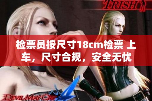 檢票員按尺寸18cm檢票 上車，尺寸合規(guī)，安全無憂