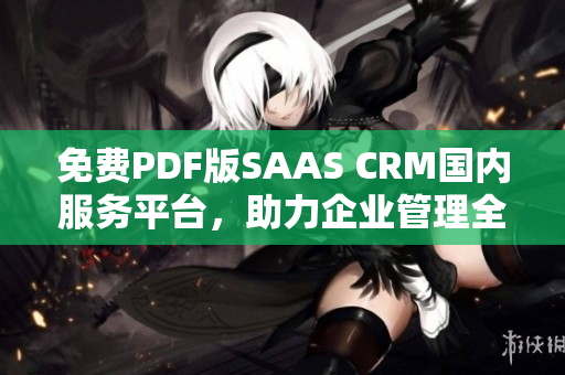 免費(fèi)PDF版SAAS CRM國(guó)內(nèi)服務(wù)平臺(tái)，助力企業(yè)管理全面升級(jí)