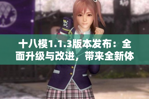 十八模1.1.3版本發(fā)布：全面升級與改進，帶來全新體驗