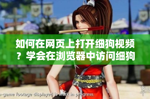 如何在網(wǎng)頁上打開細(xì)狗視頻？學(xué)會在瀏覽器中訪問細(xì)狗視頻網(wǎng)頁版的步驟