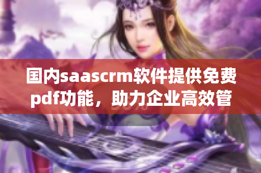 國(guó)內(nèi)saascrm軟件提供免費(fèi)pdf功能，助力企業(yè)高效管理 - 詳解