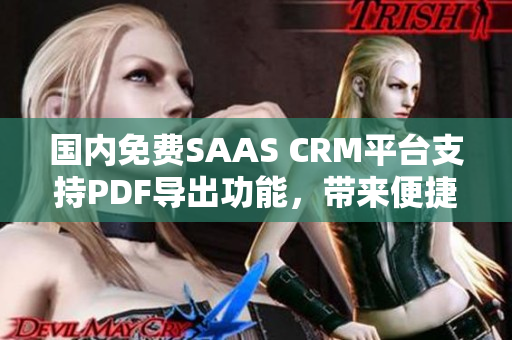 國內(nèi)免費SAAS CRM平臺支持PDF導出功能，帶來便捷的管理體驗