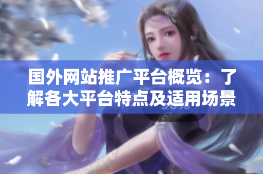 國外網(wǎng)站推廣平臺(tái)概覽：了解各大平臺(tái)特點(diǎn)及適用場景