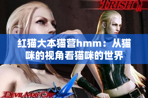 紅貓大本貓營hmm：從貓咪的視角看貓咪的世界