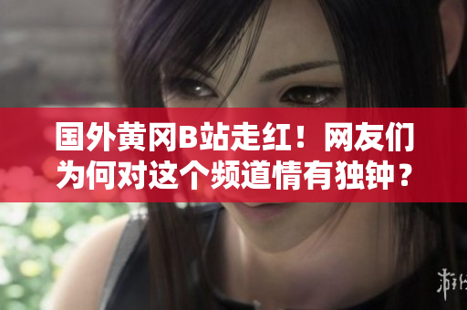 國外黃岡B站走紅！網(wǎng)友們?yōu)楹螌@個頻道情有獨鐘？