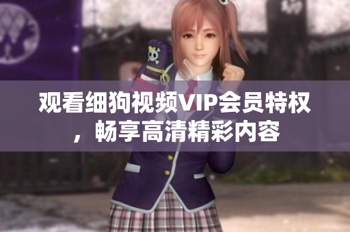 觀看細狗視頻VIP會員特權(quán)，暢享高清精彩內(nèi)容