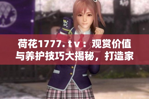 荷花1777. tⅴ：觀賞價(jià)值與養(yǎng)護(hù)技巧大揭秘，打造家居花園的絕佳選擇
