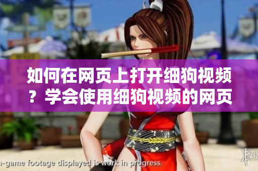 如何在網(wǎng)頁(yè)上打開(kāi)細(xì)狗視頻？學(xué)會(huì)使用細(xì)狗視頻的網(wǎng)頁(yè)版功能