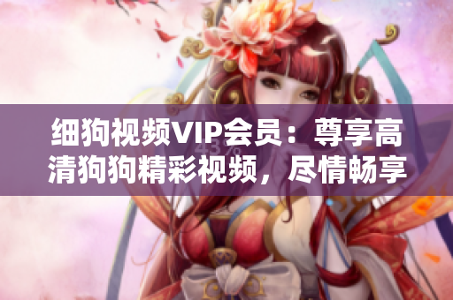 細狗視頻VIP會員：尊享高清狗狗精彩視頻，盡情暢享狗狗世界