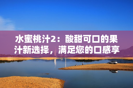 水蜜桃汁2：酸甜可口的果汁新選擇，滿足您的口感享受