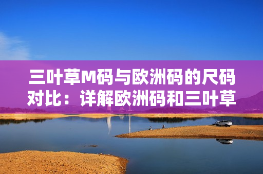 三葉草M碼與歐洲碼的尺碼對比：詳解歐洲碼和三葉草M碼的差異