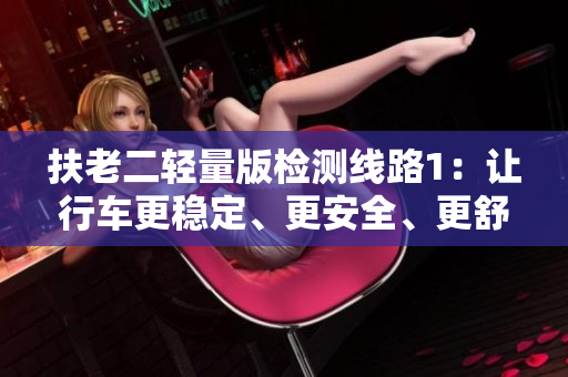 扶老二輕量版檢測(cè)線路1：讓行車更穩(wěn)定、更安全、更舒適