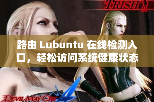 路由 Lubuntu 在線檢測入口，輕松訪問系統(tǒng)健康狀態(tài)