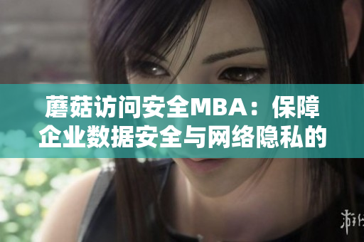 蘑菇訪問(wèn)安全MBA：保障企業(yè)數(shù)據(jù)安全與網(wǎng)絡(luò)隱私的專業(yè)管理課程