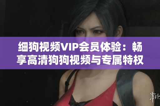 細(xì)狗視頻VIP會(huì)員體驗(yàn)：暢享高清狗狗視頻與專屬特權(quán)