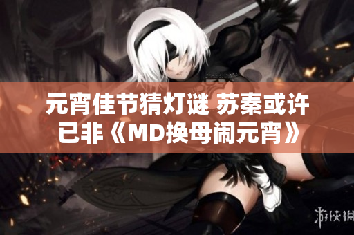 元宵佳節(jié)猜燈謎 蘇秦或許已非《MD換母鬧元宵》