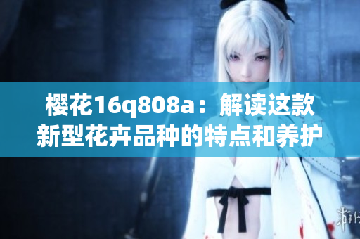 櫻花16q808a：解讀這款新型花卉品種的特點(diǎn)和養(yǎng)護(hù)技巧