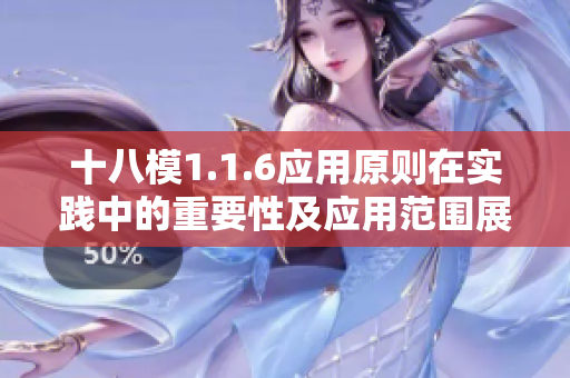十八模1.1.6應(yīng)用原則在實(shí)踐中的重要性及應(yīng)用范圍展望