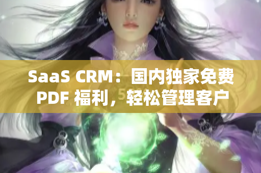 SaaS CRM：國內(nèi)獨家免費 PDF 福利，輕松管理客戶關(guān)系及業(yè)務(wù)流程