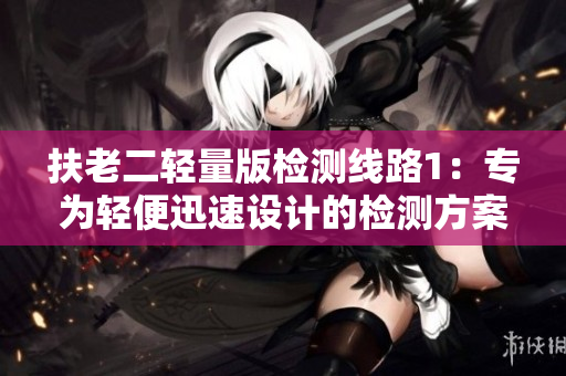 扶老二輕量版檢測線路1：專為輕便迅速設(shè)計的檢測方案