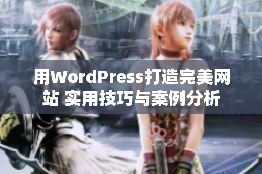 用WordPress打造完美網(wǎng)站 實用技巧與案例分析