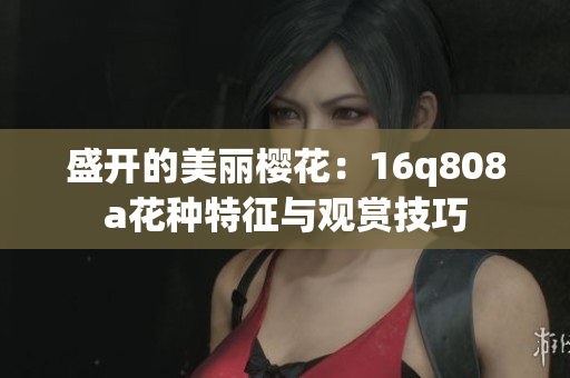 盛開的美麗櫻花：16q808a花種特征與觀賞技巧