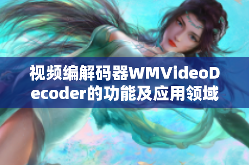 視頻編解碼器WMVideoDecoder的功能及應(yīng)用領(lǐng)域詳解