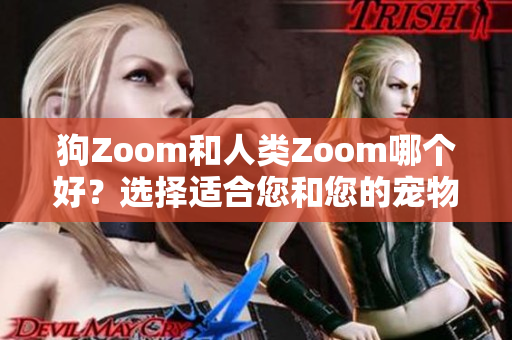 狗Zoom和人類Zoom哪個(gè)好？選擇適合您和您的寵物的視頻會(huì)議軟件